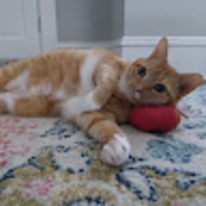 Meet your Posher, Aj